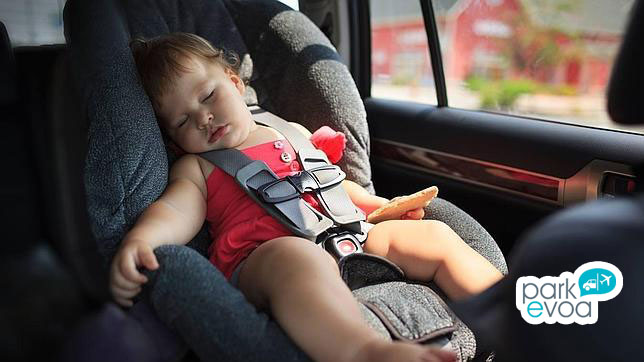 bebe descanso vehiculo